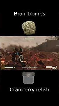 Don’t Waste Double XP ❌ Use THESE XP Buffs | Fallout 76