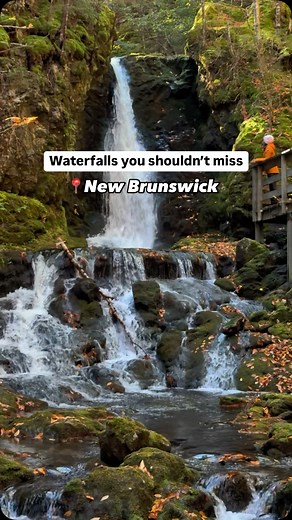 11K views · 3.8K reactions | Don’t miss these waterfalls if you’re...