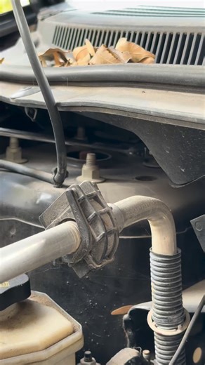 Struts #2 | Junior’s Auto