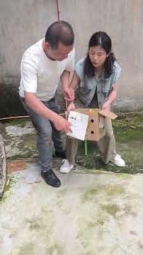 What's wrong here #Douyin Collection Upgrade Plan #Humorous and Funny