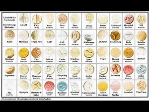 The Cook Report Rave documentary.