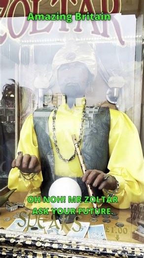 Oh My It’s Mr Zoltar-Brighton