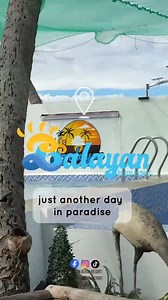 Just another day in paradise 🌞🌊 Sun, sand, and sea — Balayan Beach Resort makes every day feel like a getaway. Perfect for family outings, barkada trips, team building, and private celebrations! 🌅 Private beachfront with stunning sunset views! Available for exclusive and non-exclusive use. AMENITIES: 🏊 Adult pool (6ft) & kids pool (3ft) ❄️ Fully air-conditioned accommodations 🌴360° View deck 🏜️ Spacious outdoor area 🐟 Mini fish pond 🎤 Karaoke system, TV & water dispenser 🎱 Mini billiard
