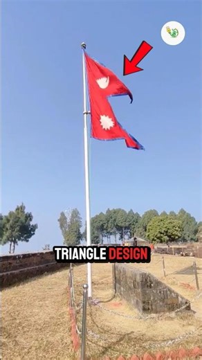 The World’s Most Unique National Flag! 🤫