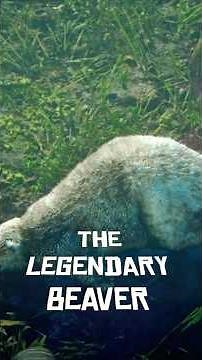 Get The LEGENDARY BEAVER Pelt FAST in RDR2! 🏆