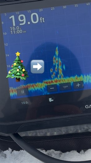 Ziehnert Guide Service LLC on Instagram: "We made a PERCH Christmas tree using @garmin Livescope 🎄Gavin and I were chasing down this fast moving perch school and finally caught up to them in this video. It’s amazing to watch them all fly up to your jig in a frenzy all at once! #icefishing #perchfishing #icefish #jigging #garminlivescope"