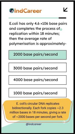 E. coli DNA Replication – 2000 Base Pairs Per Second! 🚀 IndCareer