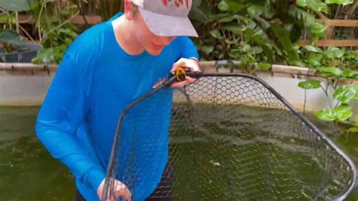 I caught the monster that was attacking my fish