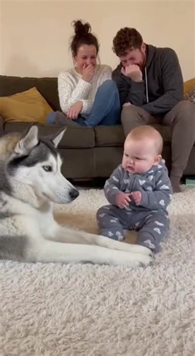 Kids videos (@kids.videos054)’s videos with sonido original - zorii30t_😈