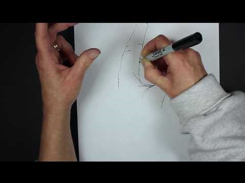 contour line hand drawing