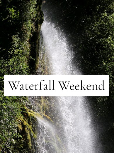Be honest — forest waterfall weekends… yes or yes? 😌💦 #WaterfallChaser #NelsonLakes #AdventureCreator #ChasingTheVibe