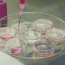 Reprogramming Mouse Embryonic Fibroblasts with Transcription Factors to Induce a Hemogenic Program