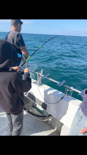 5.1K views · 27 reactions | Whiting and squid fun on a evening charter! | Fin Chaser Fishing Charters | Facebook