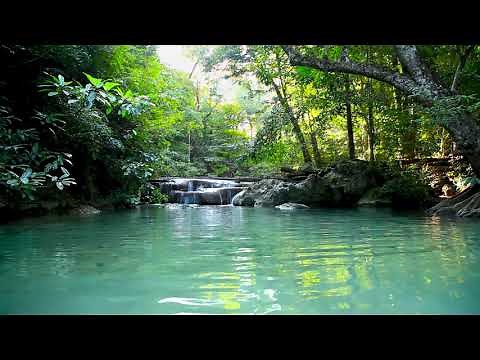 Beautiful Mountain Stream, Bubbling Brook. Nature Sounds, Small Waterfall. White Noise for Sleeping.