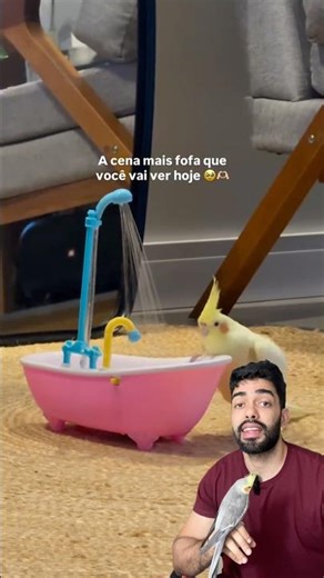 Cockatiel bathing #cockatiels