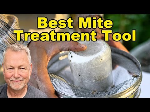 Beekeeping: How to Choose the Best Mite Treatment (Step-by-Step Trusted Tool)