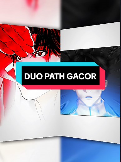 Exploring the Differences Between Path LJ and PHS
