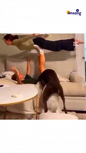 #DogvsHuman | Amazing Videos