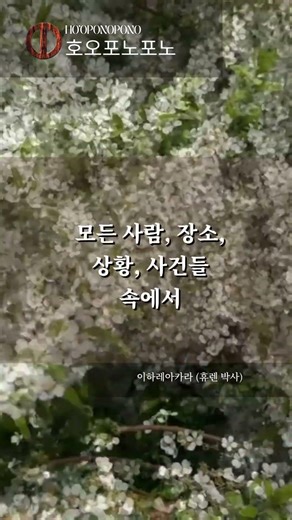 우니히피리와 함께 확인해보세요｜호오포노포노