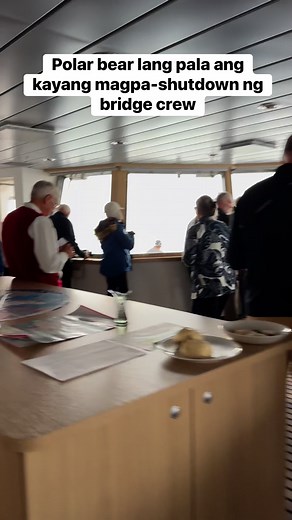 871K views · 10K reactions | Bridge in chaos… one polar bear, all eyes on it. #Polarbear #kylegoespina #foryoupage #fyp #hilightseveryonefollowers2025 #followersシ゚ #highlightsシ゚ #iceberg #NatGeoResolution #nature #travel #expedition #marinoph #seamanslifeonboard #SEAMAN | Kyle Go Espina | Facebook