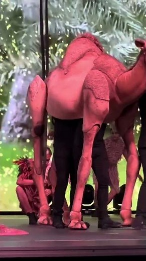 Custom Camel Puppet “The Peanut” in Action