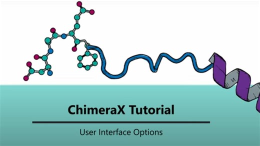 【ChimeraX 教程】P2：用户界面选项和工具-再来一碗干扣面-再来一碗干扣面-哔哩哔哩视频