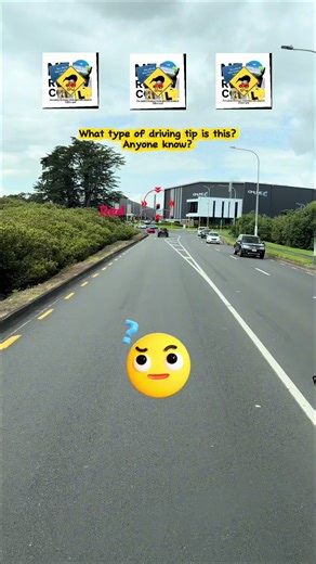 Essential Driving Tips for New Zealand Roads