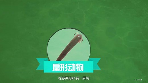 【科普】扁形动物
