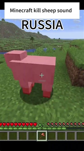 Minecraft kill sheep sound from every country #minecraft #minecraftshorts