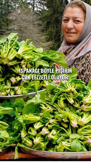 Mynet Yemek on Instagram: "Ispanağı bu şekilde pişirmeyi deneyin çok lezzetli oluyor 🌿🥘😋 🎥 Facebook: Samovar Tea 🎥 YouTube: Samover Tea | www.youtube.com/watch?v=IJ8NajWFB5k&t=422s"