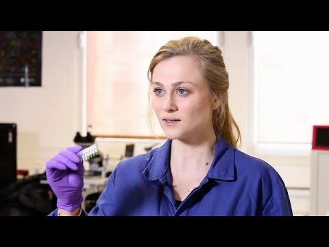 How to Perform a PCR Purification