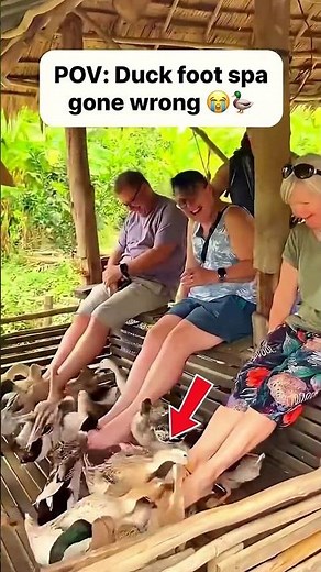 TRY NOT TO LAUGH WATCHING 🤣😂Best Funny Videos Compilation Tiktok 2026 #funny #comedy #funnyvideo