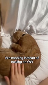 Jetpack Cat: The Ultimate Overwatch Companion