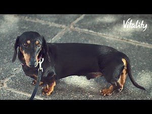 VitalityHealth TV Advert | Vitality UK