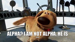 591028d7-165d-4f92-8be0-8487063b6145