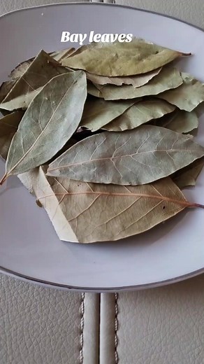 Benefits of Bay Leaves for Health and Wellness