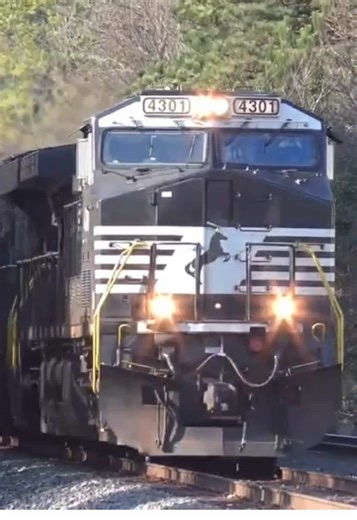 Norfolk Southern Train 350 moves through Raleigh, NC #NorfolkSouthern #FreightTrains #Manifest #AC44C6M #Locomotive #Railfanning #Railfan #Trains #Train #Railroad #Railway #Jamestown #NorthCarolina #Railfans_of_Instagram #Railways_of_America #The_Loco_Shop #Pocket_Rail #RailSupremacy #East_Coast_Rail #Railfan_Features #AllAroundRail #TrainSpotting #Railmarkable #Amazing_Rail #Trb_Express #RailroadCrossing #JointedRail #foryou #fyp