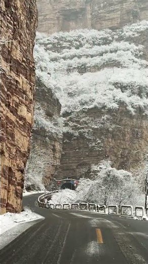 The Magic of Reunion: When Longing Meets Love