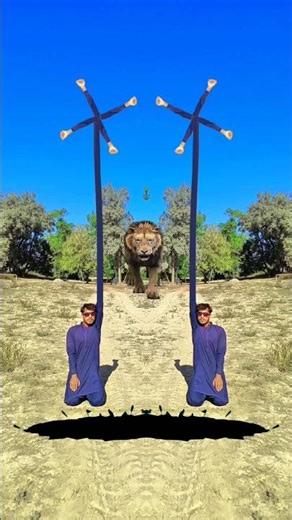 Vfx magic video editing long garden helicopter flying#shortvideo#shorts#short#funny#viralvideo