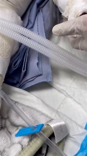 A 10-month-old baby lies alone on a hospital bed after losing his parents and siblings in the israeli occupation's bombing on the southern Gaza Strip. | Jenny Lloyd