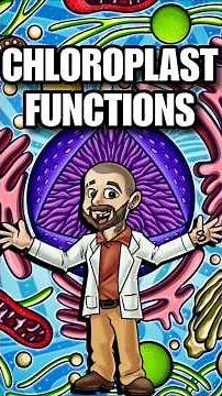 ☝️🔬 Chloroplast Functions 🧬🤔