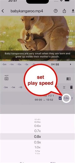 Shadow Play App Manual