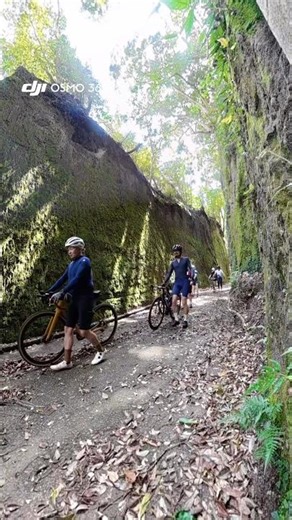 4月5日プラサイライド会 お花見ライド！ #ロードバイク #自転車 #サイクリング