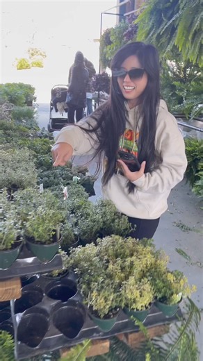 9.9K views · 52 reactions | Remember, you have a lot of seedlings already! #farmersmarket #raleigh #plantsmakepeoplehappy #herbs #costandcooksgarden | Cost and Cooks Channel | Facebook