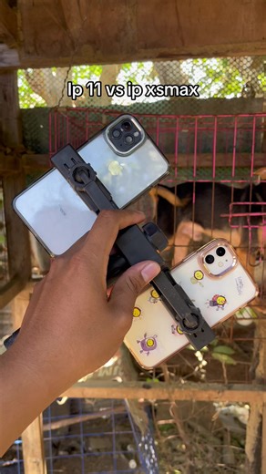 iPhone 11 vs iPhone XS Max Camera Comparison