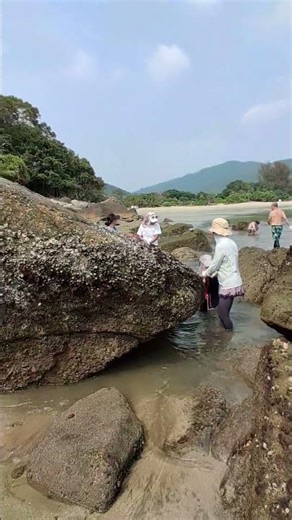 Chinese and Pinays pick mussels on the beach
