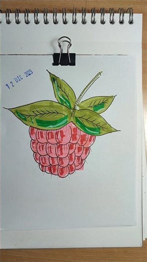 drawing a raspberry #shorts #drawing