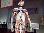 The art of 'Plastination' by Dr. Gunther von Hagens explained