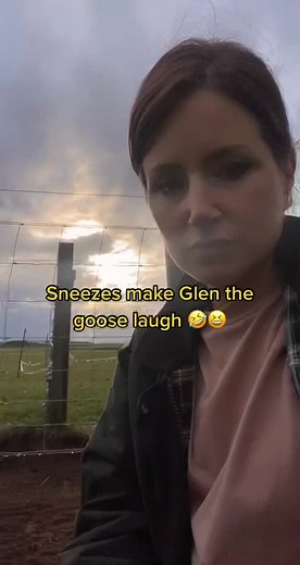 Funny Glen The Goose Compilation