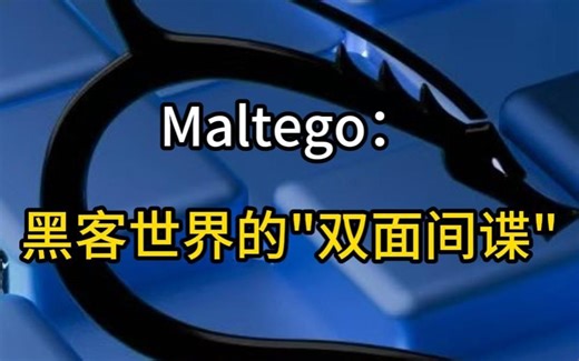 Maltego：黑客世界的"双面间谍"